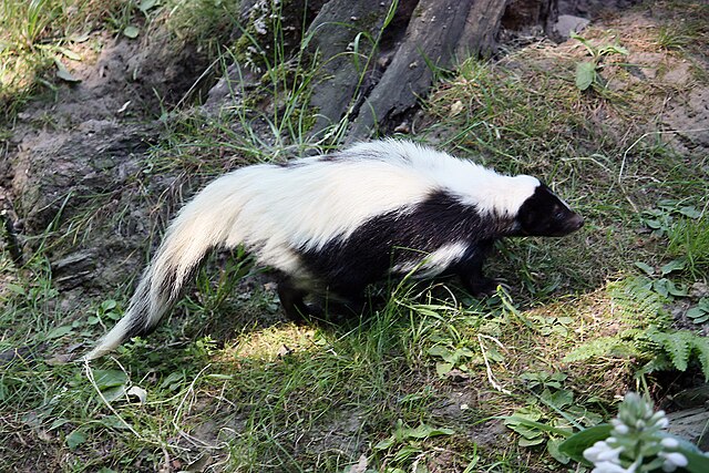 Obrázek 2